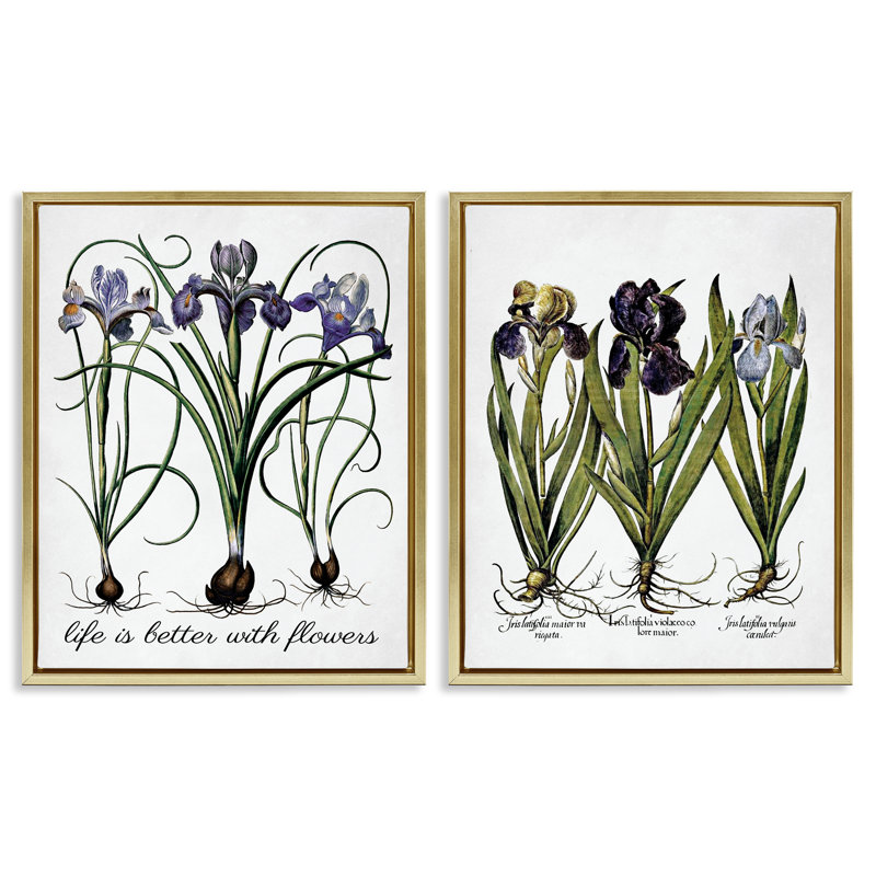 «Better with Flowers Iris Bulb», ensemble de 2 toiles flottantes encadrées par lettres et doublures, H 21 po x l 17 po