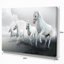 Quatre chevaux blancs en journée nuageuse - impression sur toile tendue-29490445