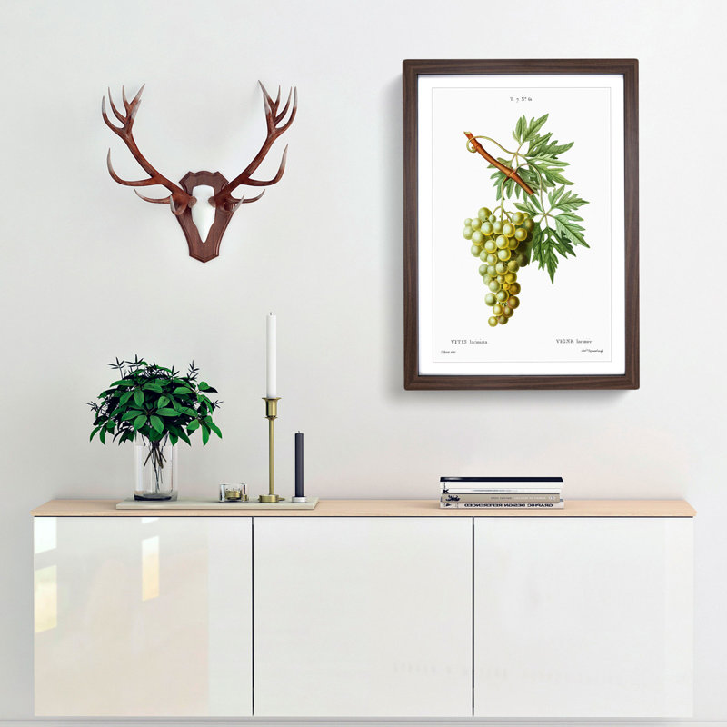 Green Grapes by Pierre-Joseph Redoute - Picture Frame Painting Print, 36cm H x 27cm W x 2cm D, Walnut Framed