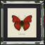 Single Picture Frame Print on Wood