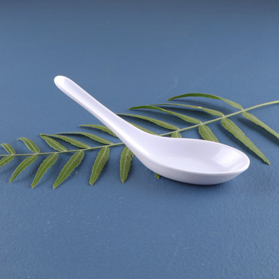 Karma Asian Soup Spoon