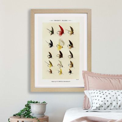 Trout Fishing Flies Version 2 by Mary Orvis Marbury - Single Picture Frame Print