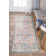 Hartig Oriental Indoor Rug
