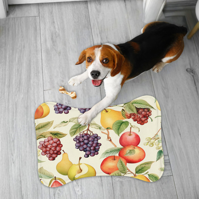 Fruit Splash - Tapis d'alimentation en os 1 pièce