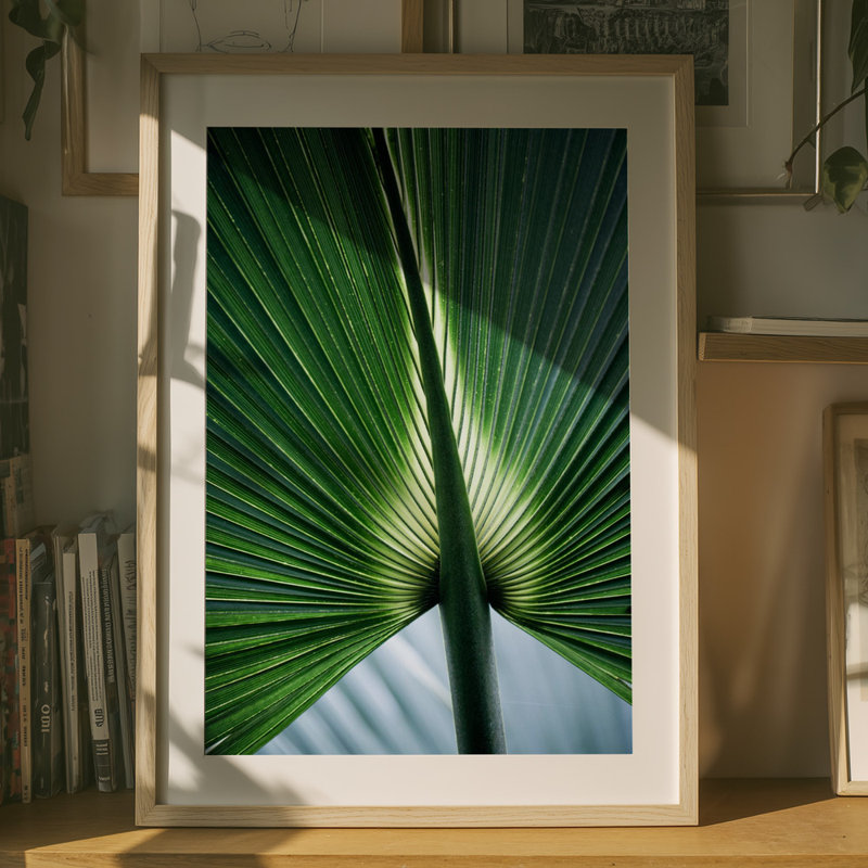 Wrapped Canvas Print, 76.2 cm H x 50.8 cm W