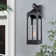 Marla Dusk to Dawn Iron Wall Light with Seed Glass Shade