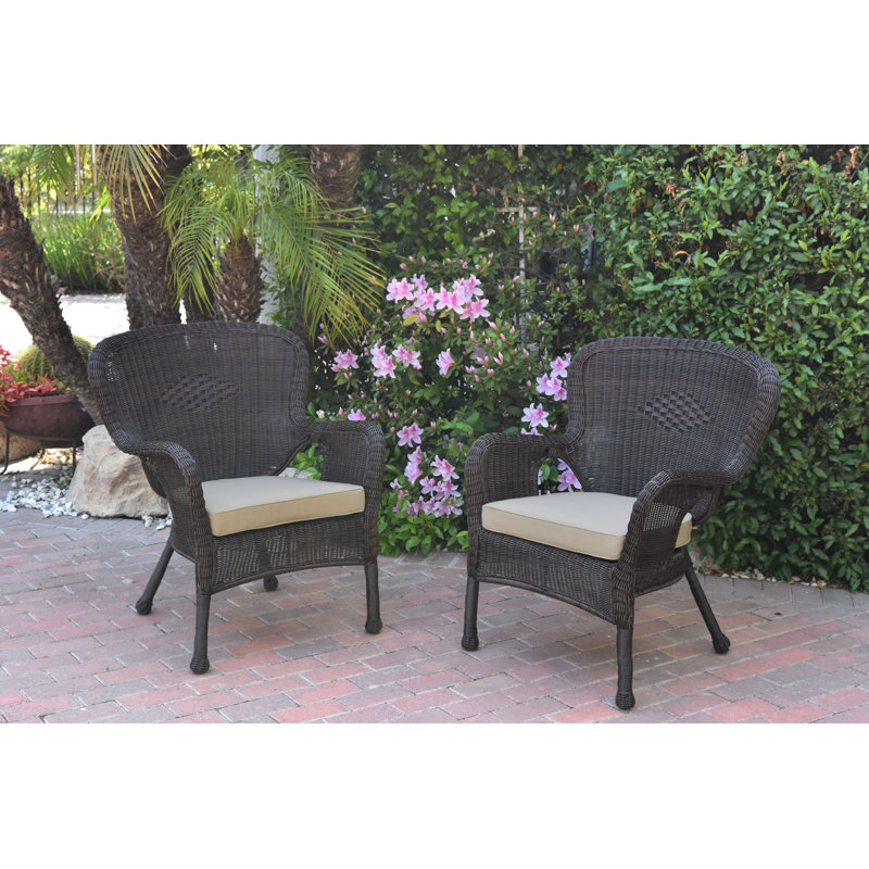 Batchelder Wicker Outdoor Lounge Chair, Tan, Espresso