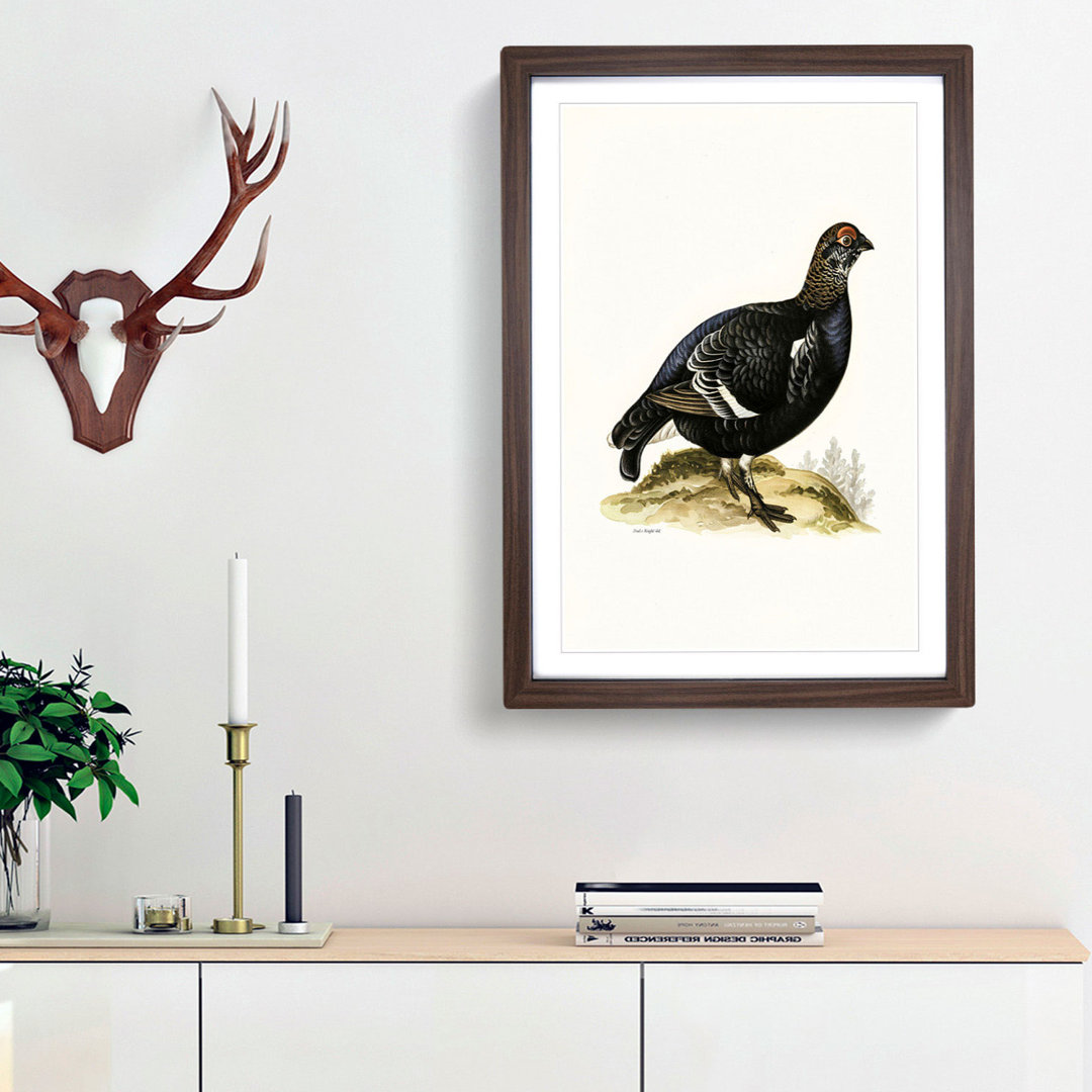 A Black Grouse by Von Wright - Framed Print