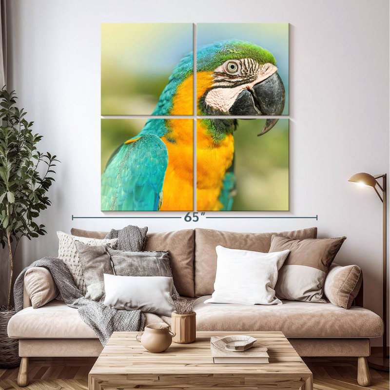 Brampt Parrot, 50" H x 50" W