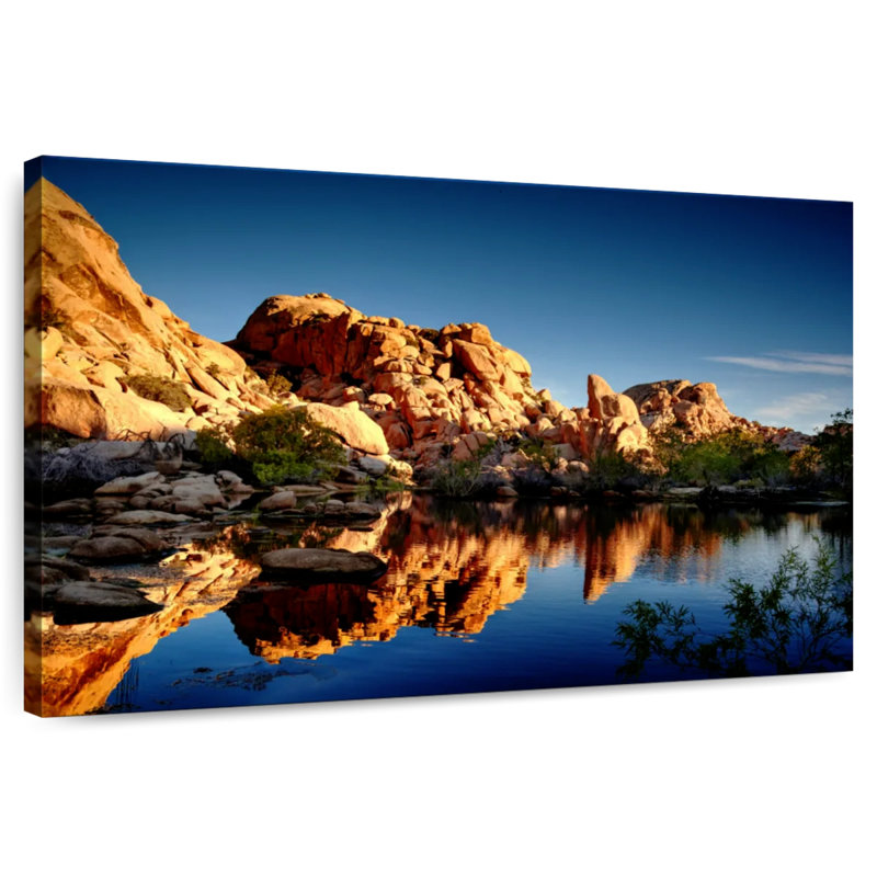 Nicci Joshua Tree Pool Scenery