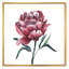 Fleur de pivoine rouge rétro-1534097189-1534097196