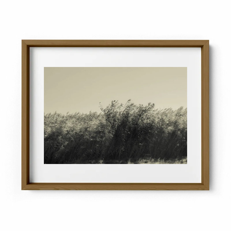 The Summer Wind Print by Joseph Regan, 22" H x 26" W x 0.75" D, Walnut