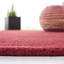 Tapis rouge Frann-29161172