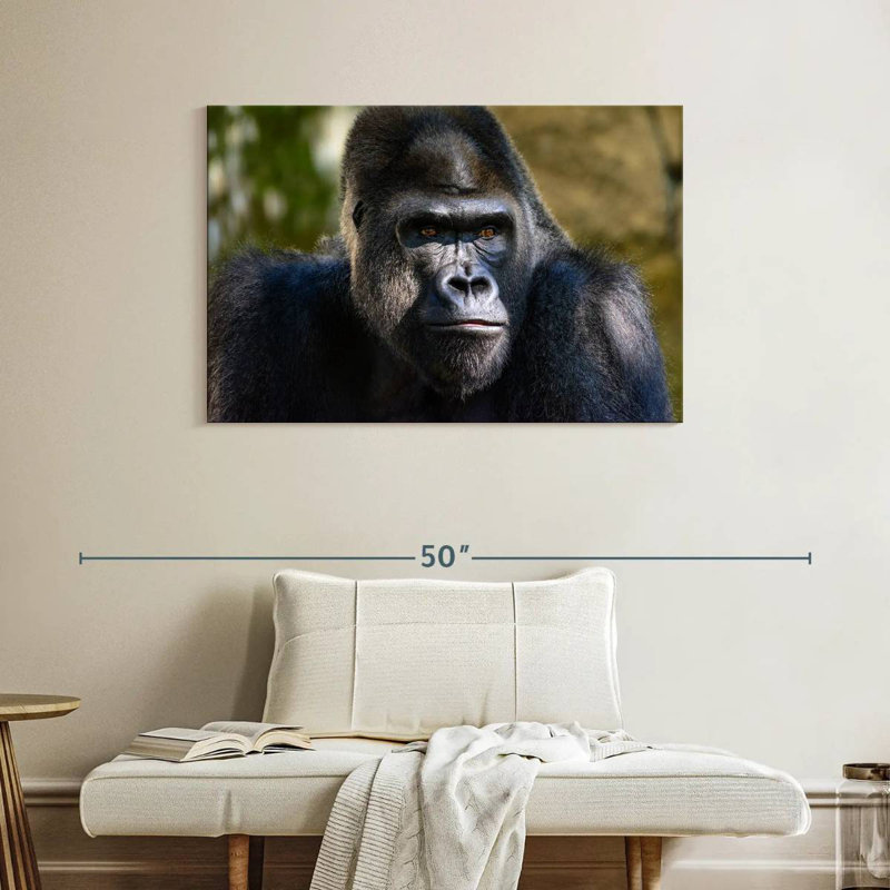 Mountain Gorilla