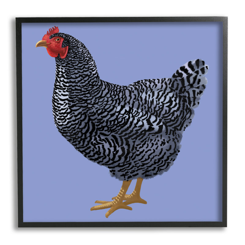 Oiseau souriant rayé «Farm Chicken Over Mauve» par Sally Springer Griffith - impression, Giclée encadrée noir minuit