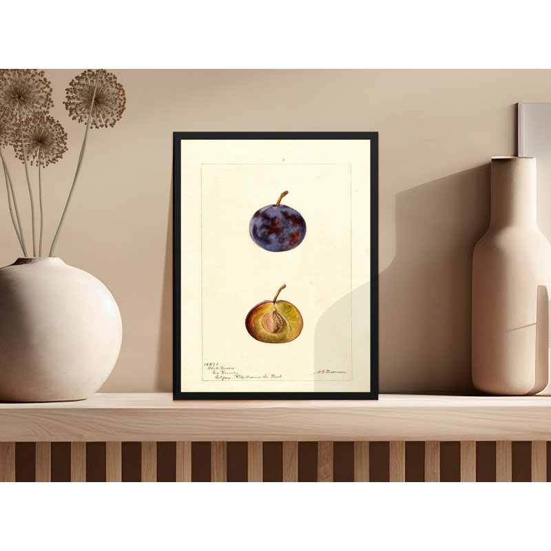Vesperina No Frame Print, 5x7
