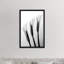 Callas I par Hong Pham - reproduction de photo-49902679-53128233