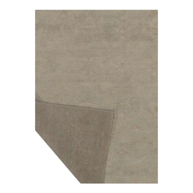 Area Rug in Tan