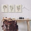 «Stupell Industries Beige Cottage Cottage», ensemble de 3 toiles murales par Ros Ruseva-91323382-91323384