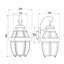 Rochelle Polished Brass Outdoor Wall Lantern-28240371