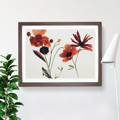 Entrancing Flowers - Framed Print