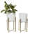 Blanc brillant / or est en rupture de stock