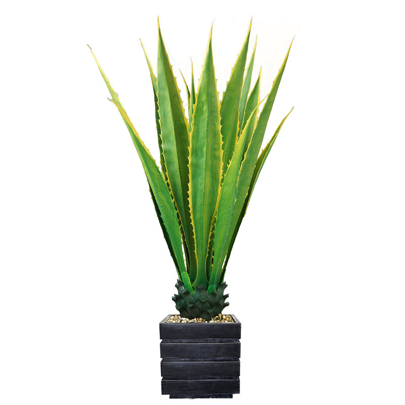Plante succulente artificielle en pot 43 po Panama, Noir, Vert foncé