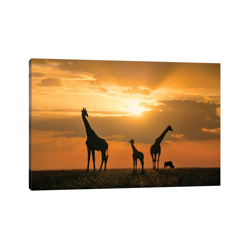 Golden Africa by John Fan - Wrapped Canvas Print, 101.6 cm H x 66.04 cm W