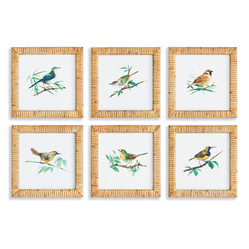 Petits oiseaux de Saarrah