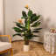 Arbre Albee, faux arbre en plastique, arbre artificiel en plastique-1827211874