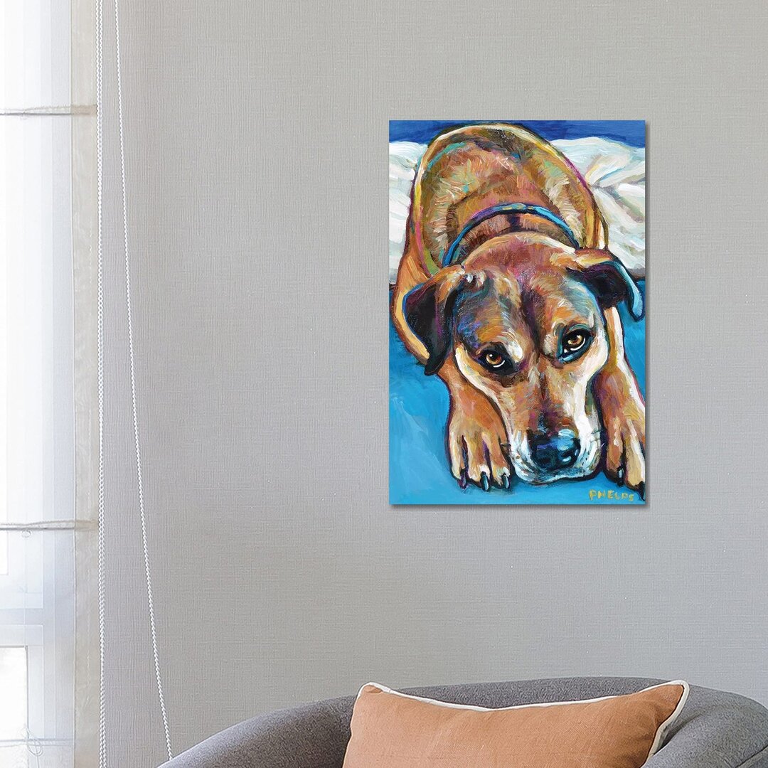 Sienna The Mastiff Mix von Robert Phelps - Galerie-verpackte Leinwand Giclée auf Leinwand