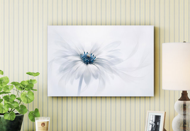 Wall Art From Our Exclusive Brands