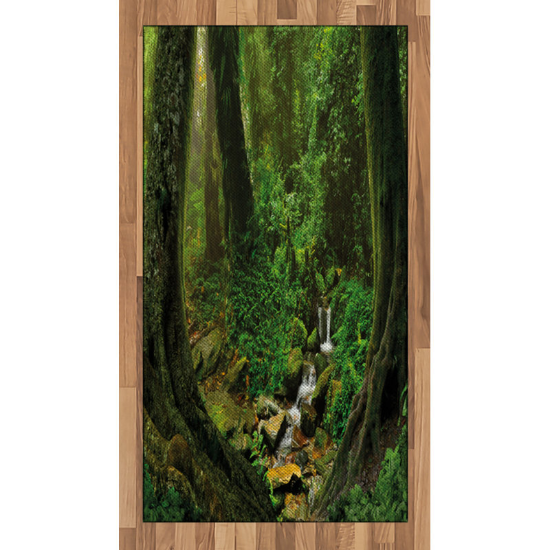 Tapis décoratif à haute densité en fibres naturelles haute densité Nature, Rectangle 2 pi 7 po x 5 pi