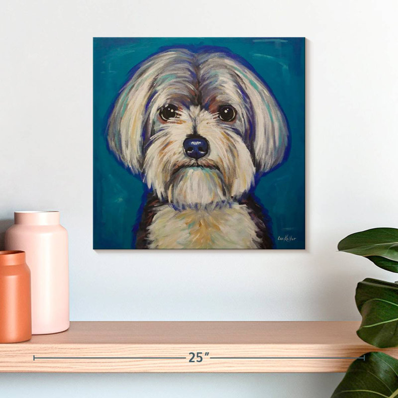 Crowle Maltese Yorkie