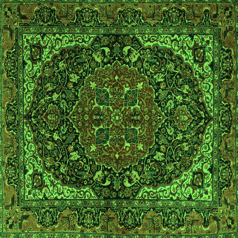 Washable Oriental Indoor Rug, Square 5'
