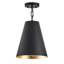 Luminaire suspendu rond industriel en fer 1 lumière à intensité variable-108805271