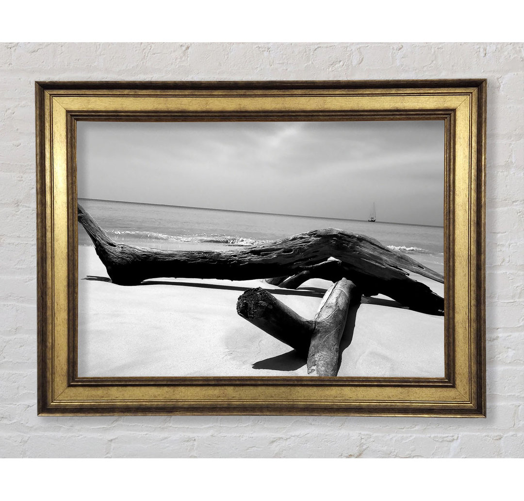 Gerahmtes Leinwandbild Ocean Drift Wood On The Shore B N W