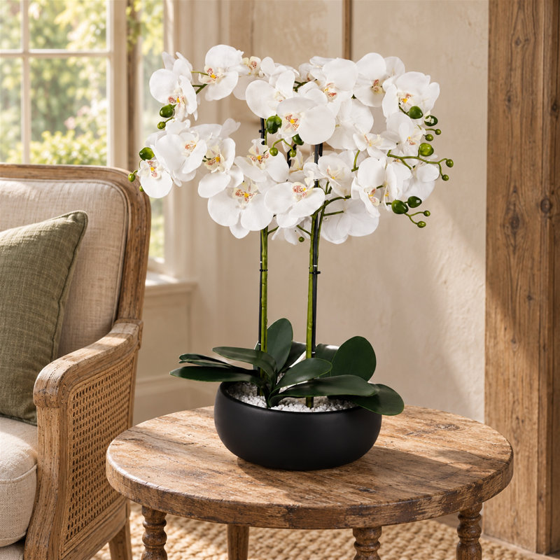 60 cm H Faux Foliage Plant in Ceramic Pot, White, Black