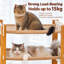 Structure d'escalade pour chat à 3 niveaux, 63 po pour chats d'intérieur, grand lit pour chat robuste