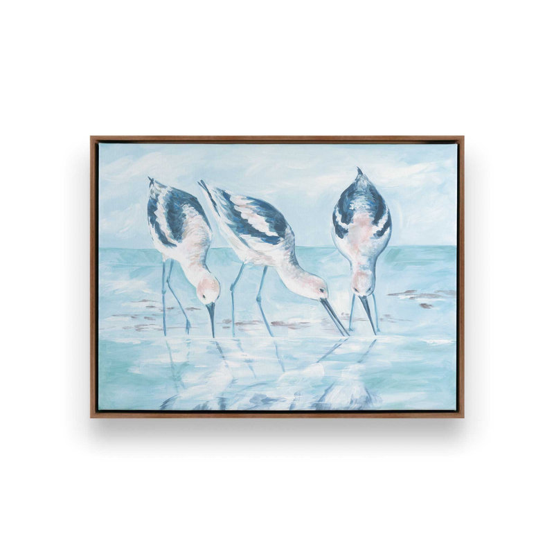 «Shorebirds I» par Diane Kater, reproduction d'art, Toile avec cadre, Brun, L 24 po x H 18 po