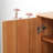 Simple and Spacious Shoe Storage Cabinet