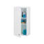 Bathroom Cabinet