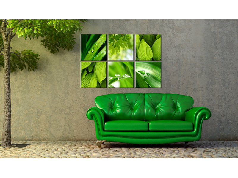 6 Piece No Frame Print on Canvas, 80cm H x 120cm W