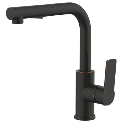 Daweier Pull Out Kitchen Faucet