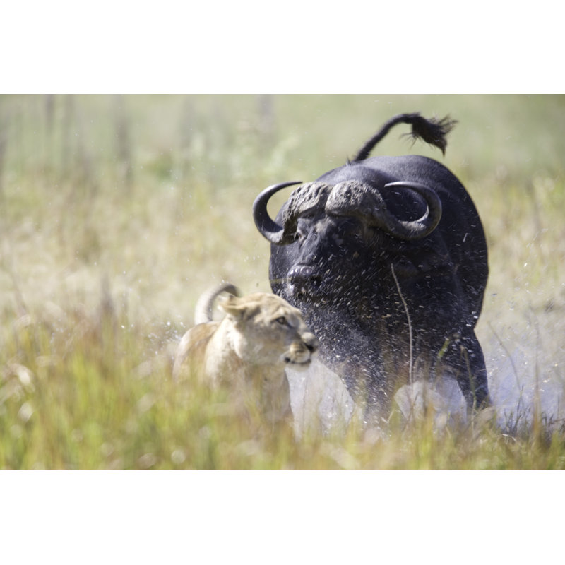 Relentless Enemies by Pjmalsbury - Wrapped Canvas Print, 61cm H x 91cm W x 3.8cm D