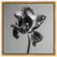 Tidal Wilt III Floral & Botanical Canvas Print by Oliver Gal, Black Frame, 12 x 12-677993336-677993608