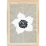 Phosphorus Print by Michela Sorrentino