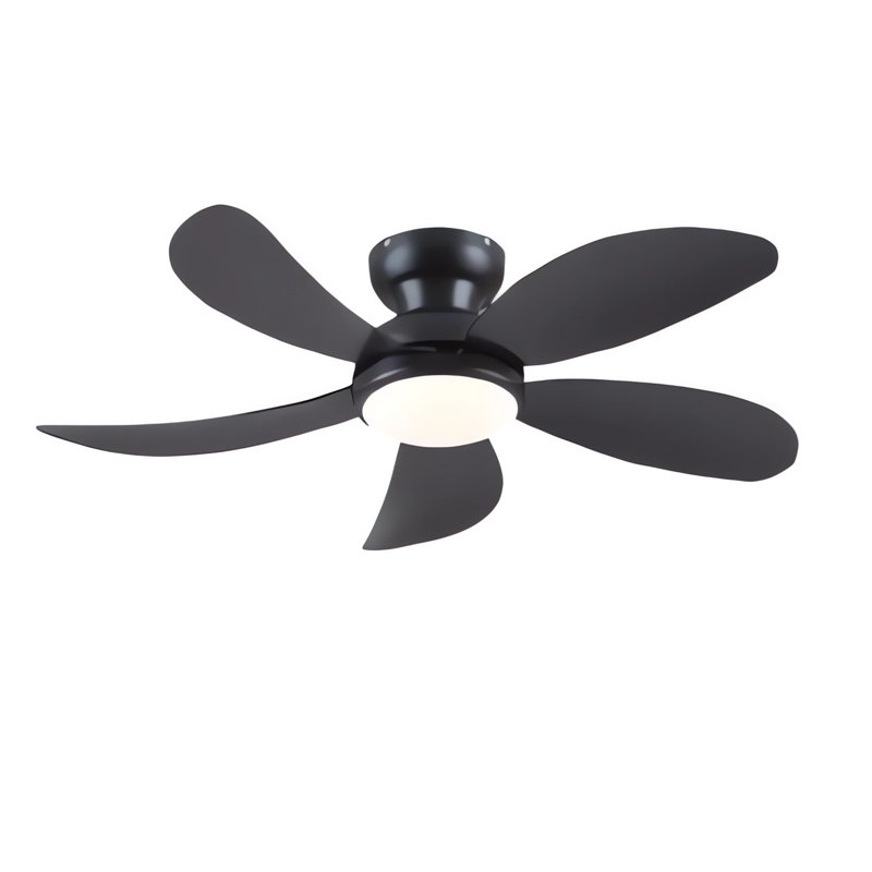 42 Inch Modern Indoor Low Profile Ceiling Fans With Lights And Remote/App, Black