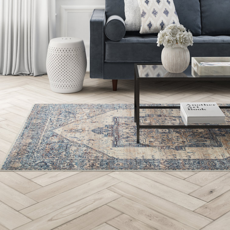 Alieda Oriental Indoor Rug
