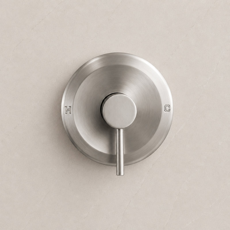 Robinet de douche rond (valve incluse)